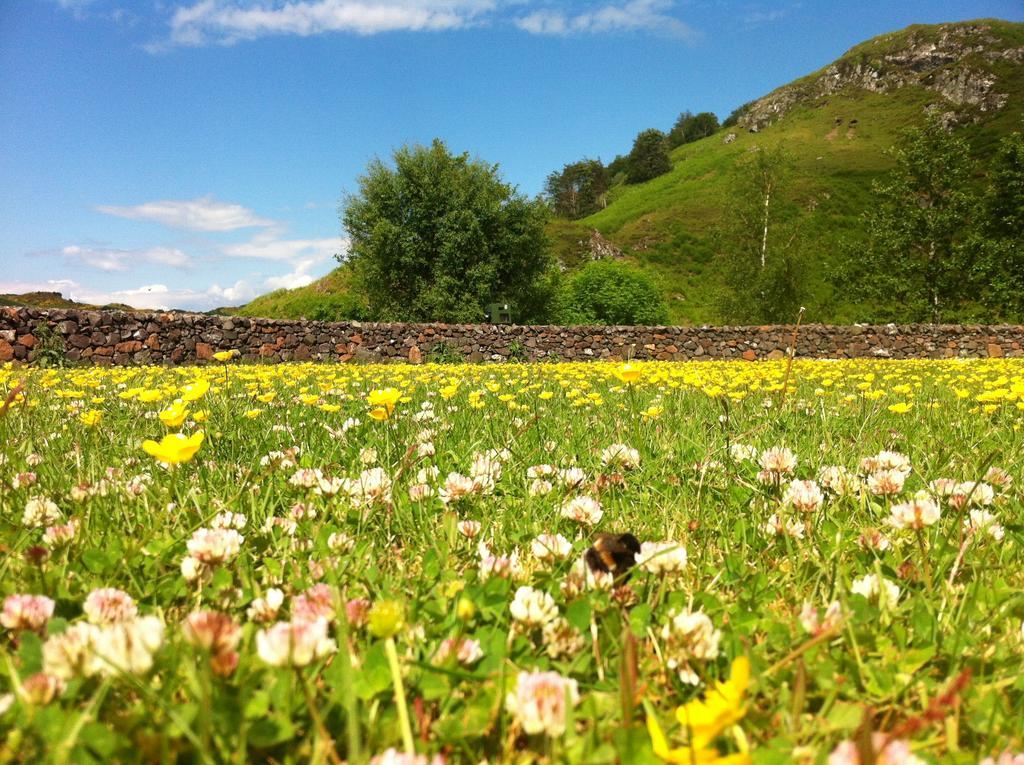Clan Cottages Oban Quarto foto
